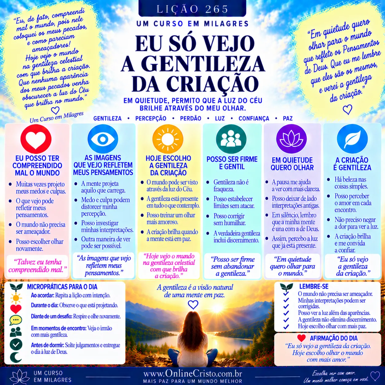 LIÇÃO 265